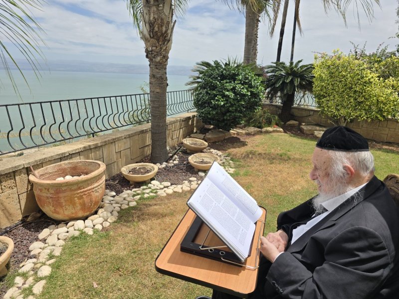 שוקי לרר