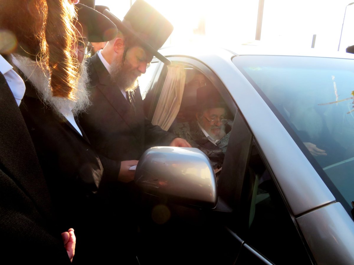 באדיבות המצלם