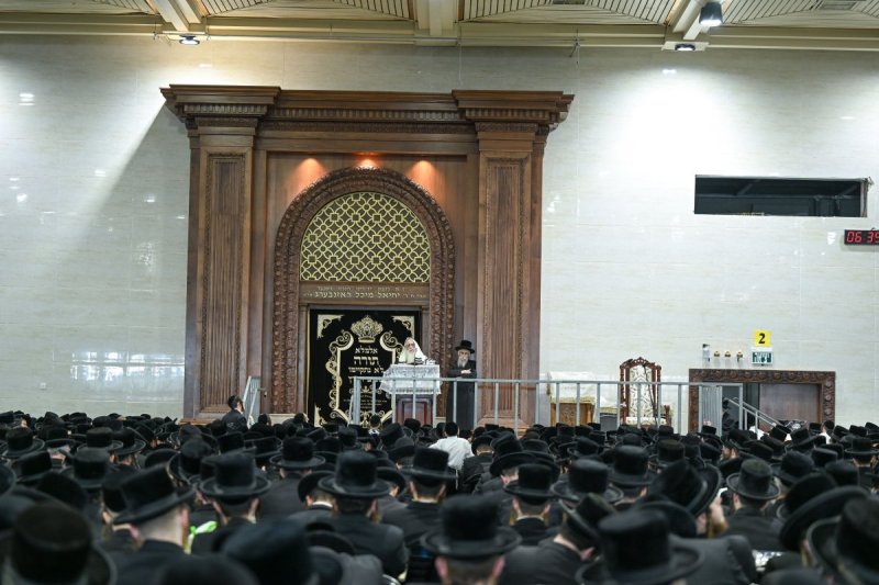 משה גולדשטיין