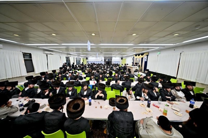 יהושע פרוכטר