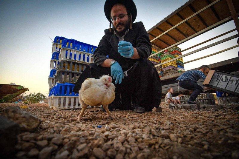 ארי קופרשטוק