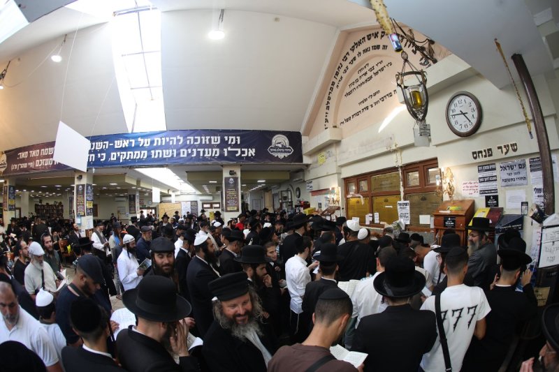 יהודה וויס