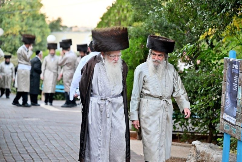 יהושע פרוכטר