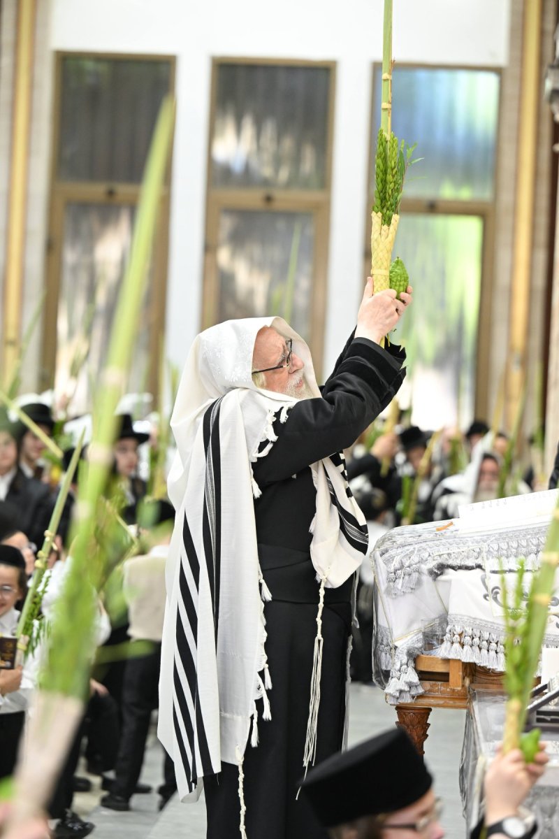 משה גולדשטיין