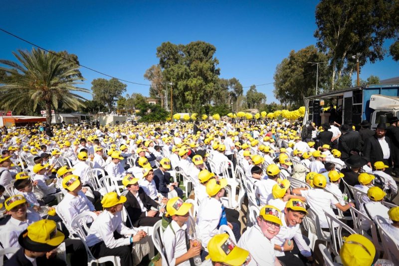 דניאל נפוסי