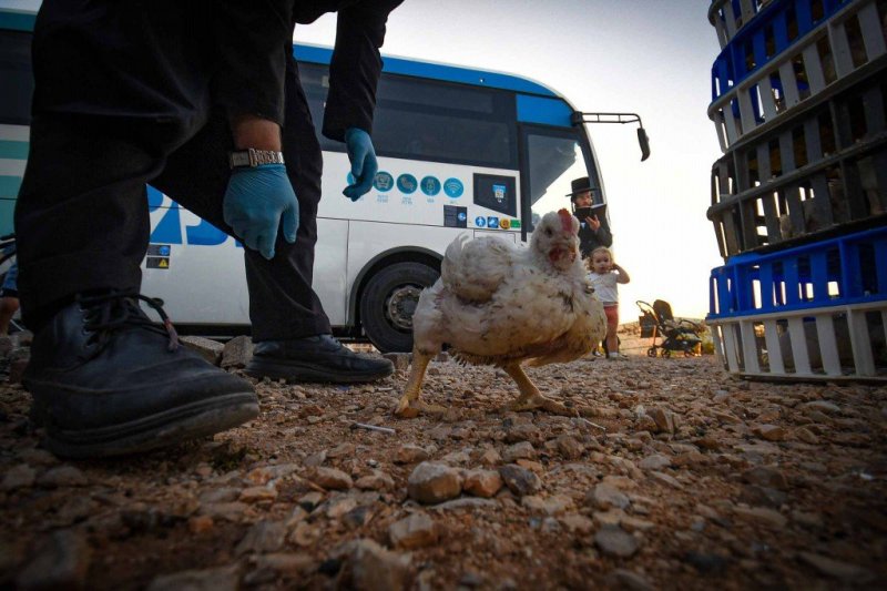 ארי קופרשטוק
