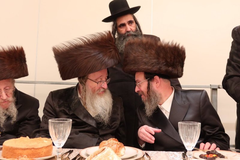 ב. מיכאלי וא.שטול