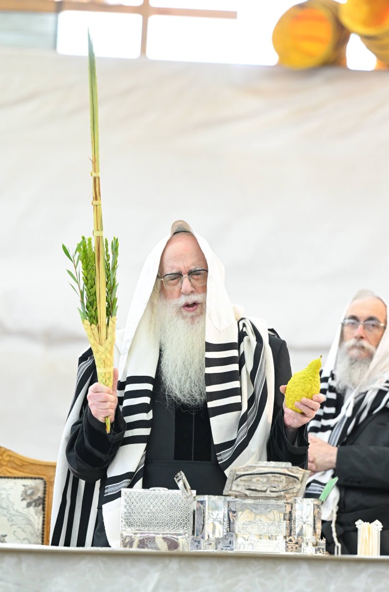 משה גולדשטיין