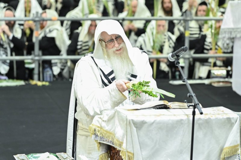 משה גולדשטיין