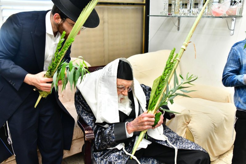 שוקי לרר