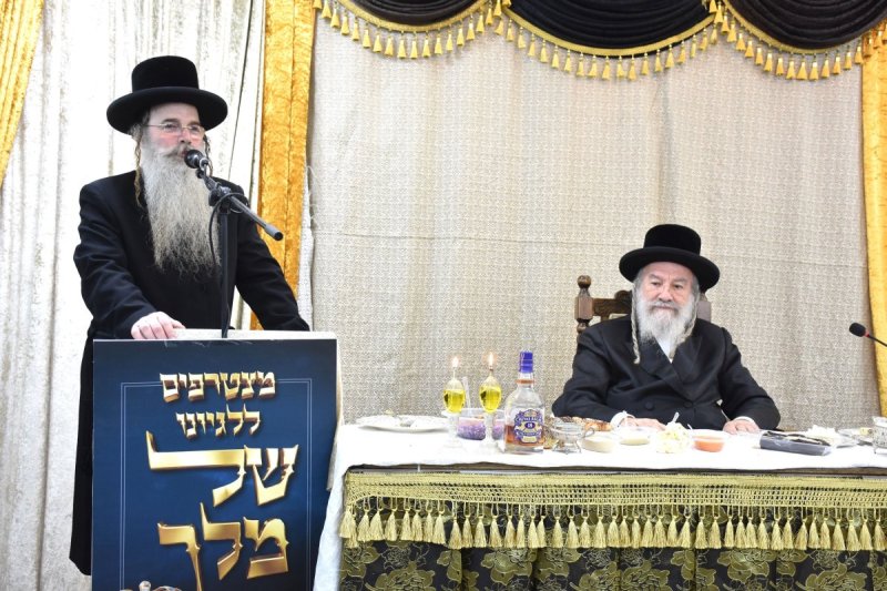 יהודה פרקוביץ