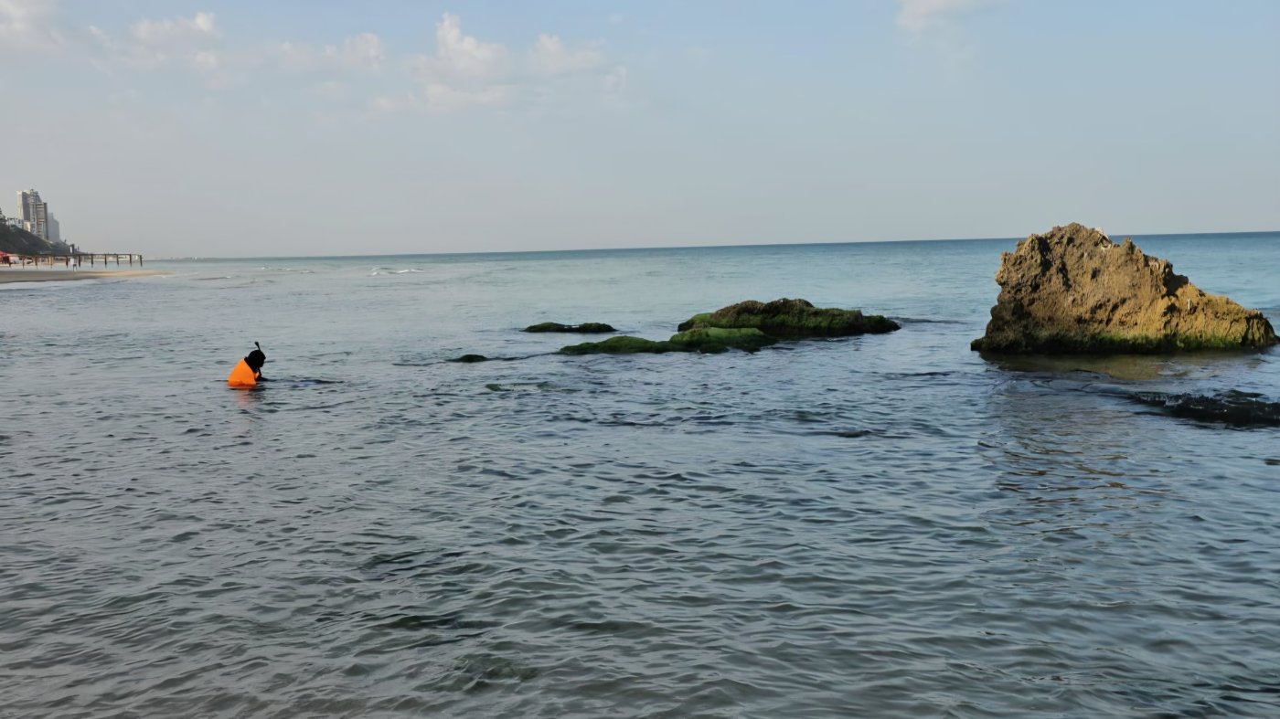 דוברות זק"א