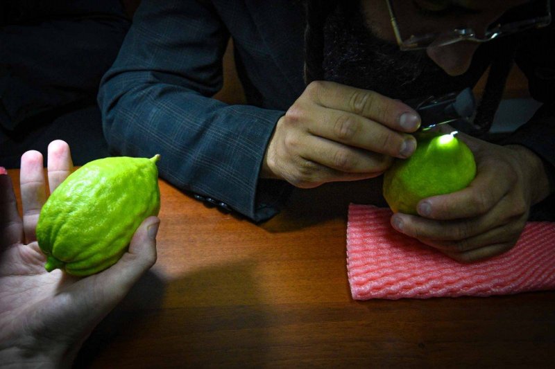 ארי קופרשטוק