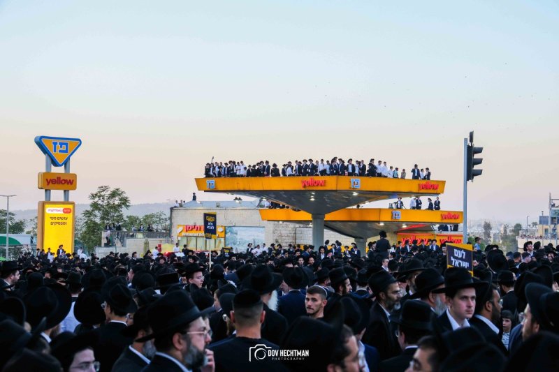 דב בער הכטמן