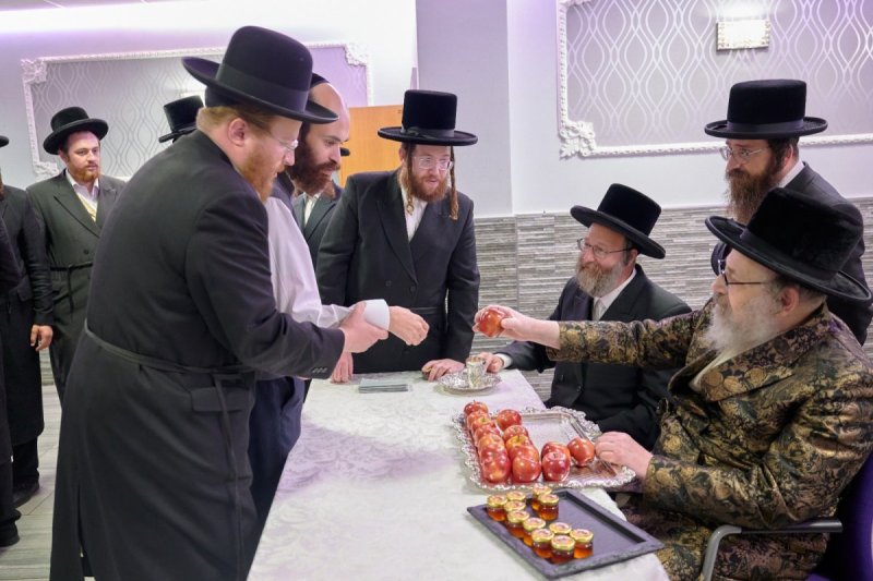 דודי בראון