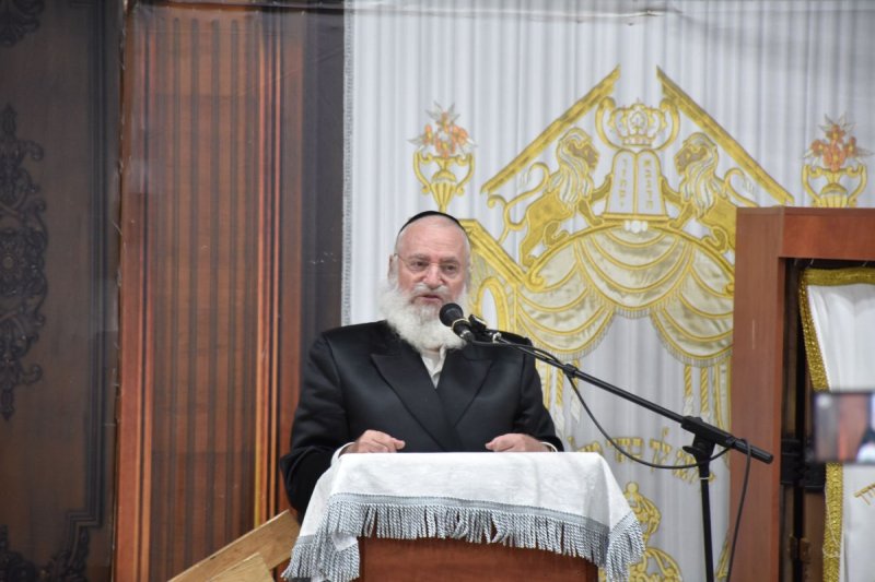 יהודה פרקוביץ