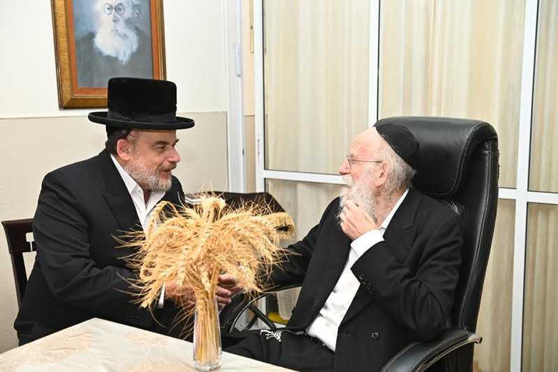 שוקי לרר