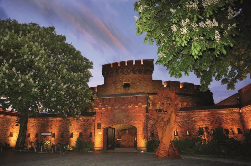 מוזיאון הענבר