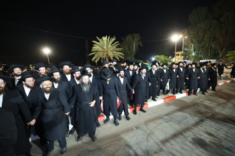 קובי הר צבי