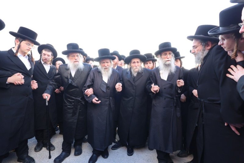 שלומי טריכטר