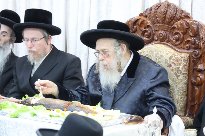 שלומי טריכטר