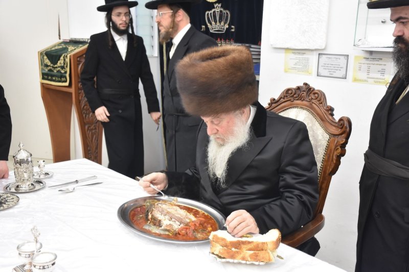 יהודה פרקוביץ