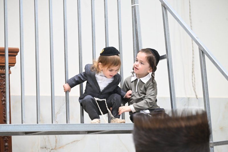 שימי פ.