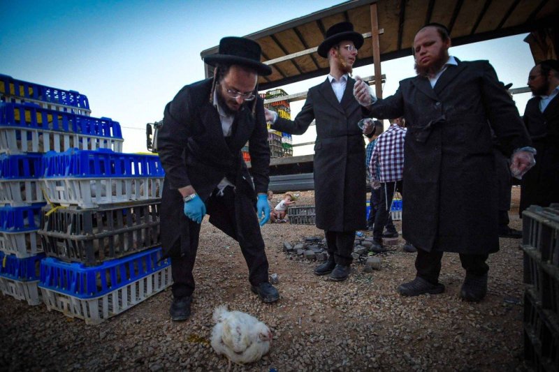 ארי קופרשטוק