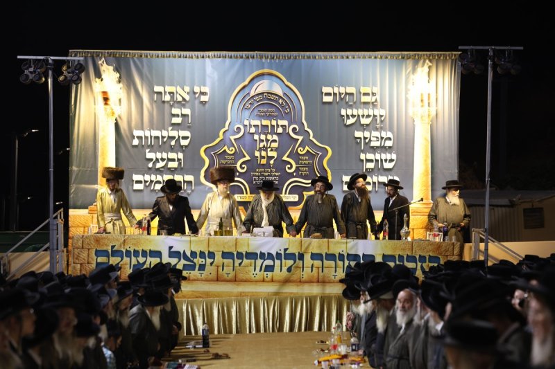 דוד כהן