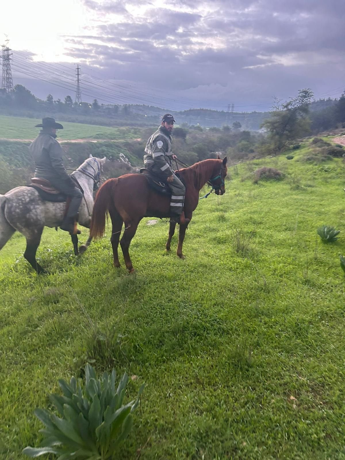 דוברות המשטרה