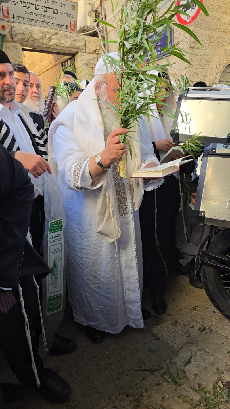 שלומי טריכטר ומ.פ