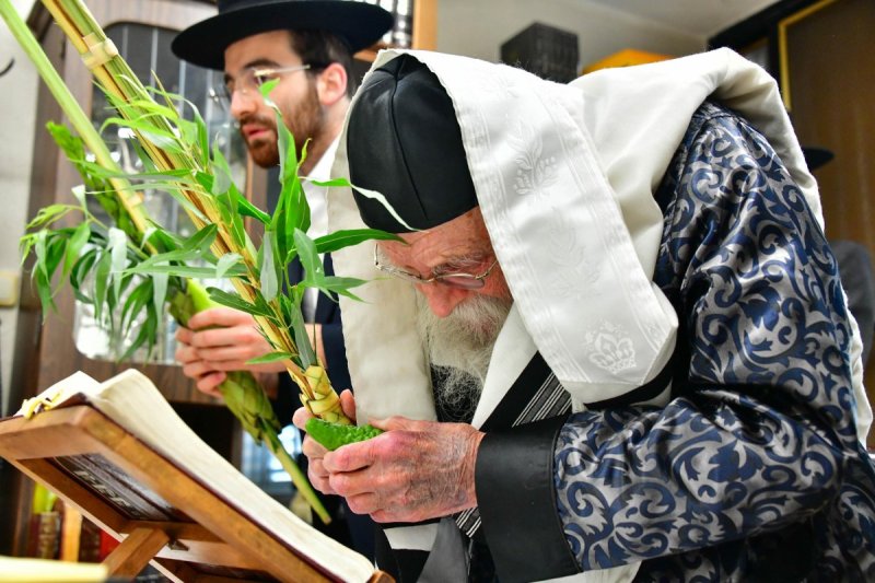 שוקי לרר