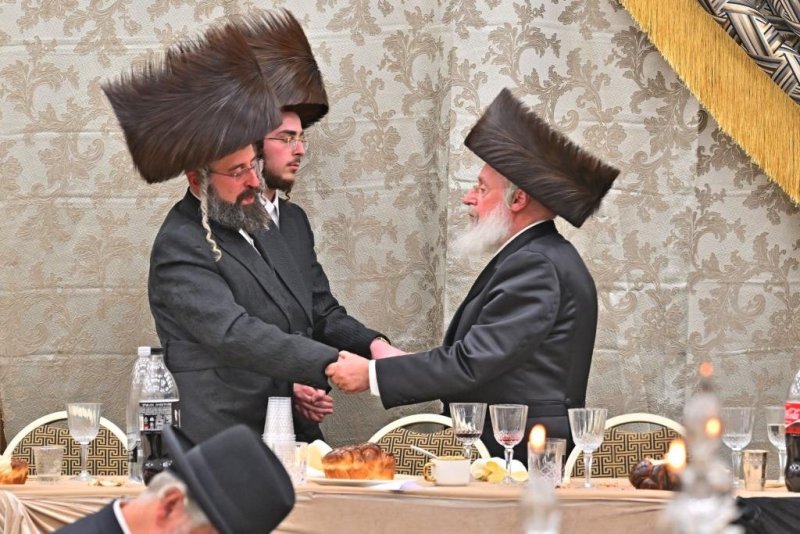 יהושע פרוכטר