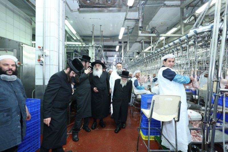 שלומי טריכטר