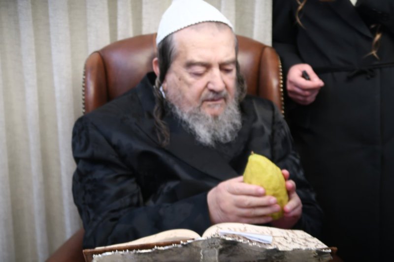 יחיאל רייכמאן