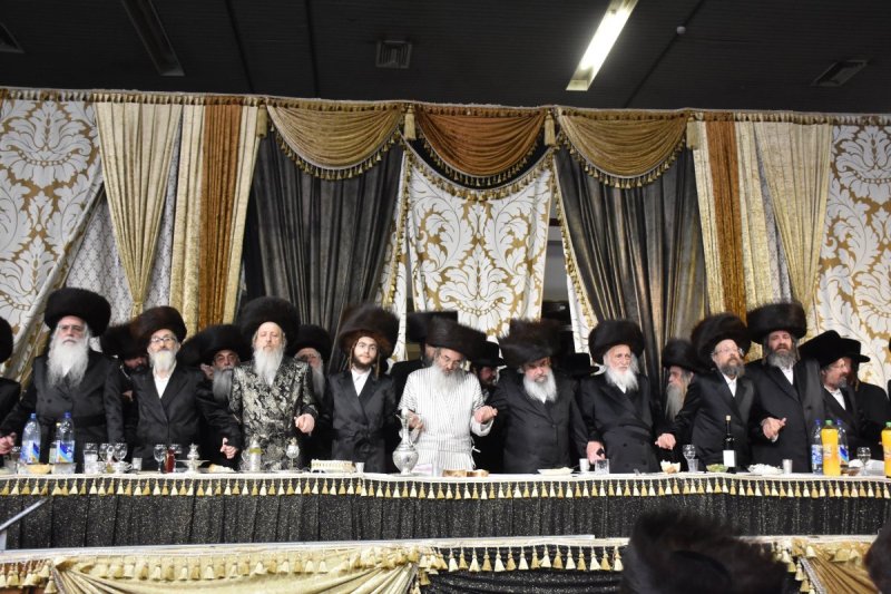 יהודה פרקוביץ