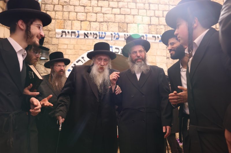 דוד כהן