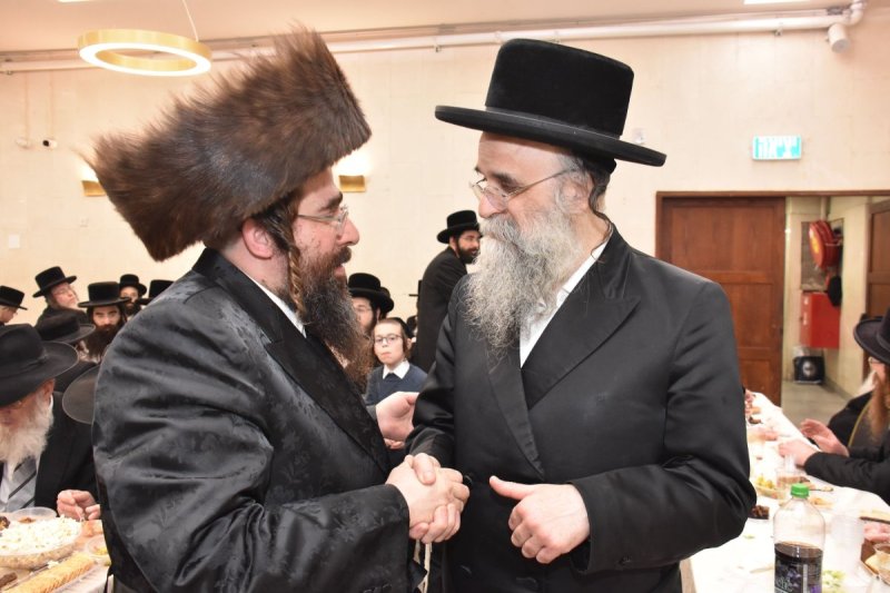 יהודה פרקוביץ