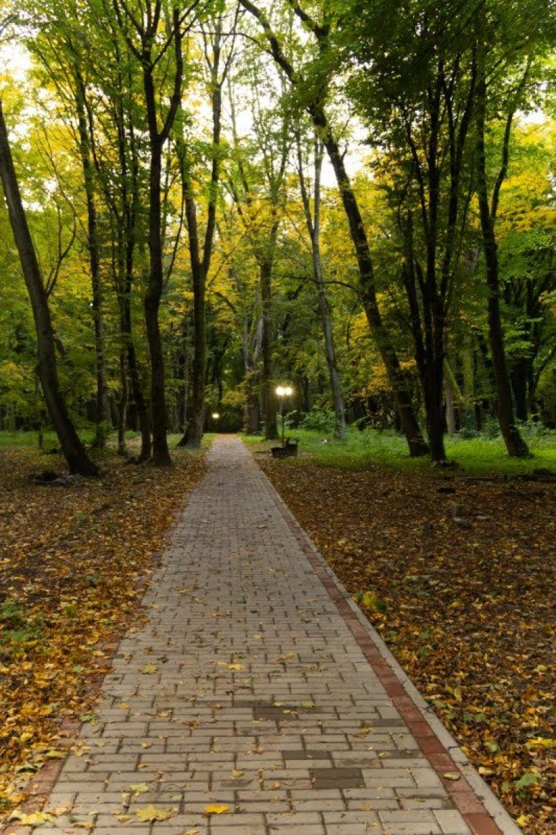 אנדריי בויץ