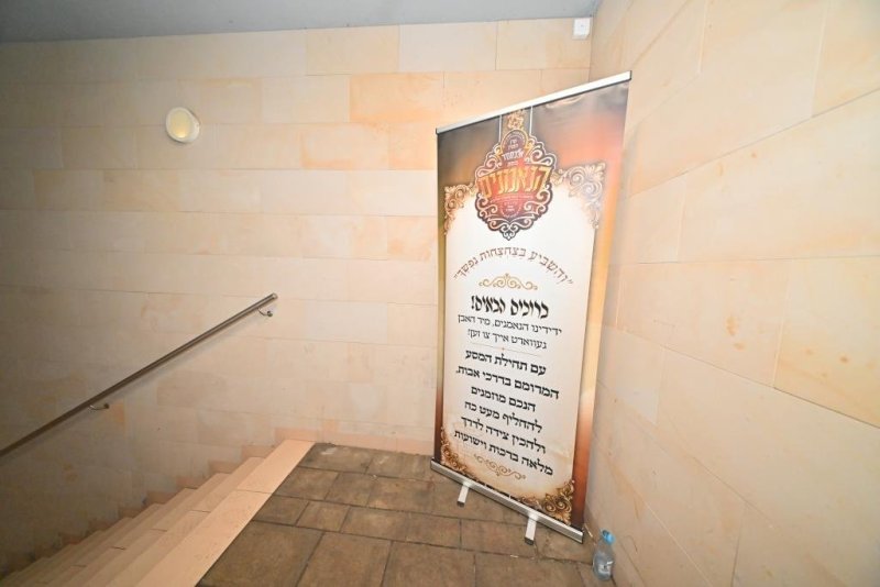 יהושע פרוכטר