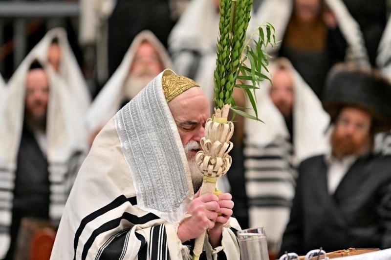 יהושע פרוכטר