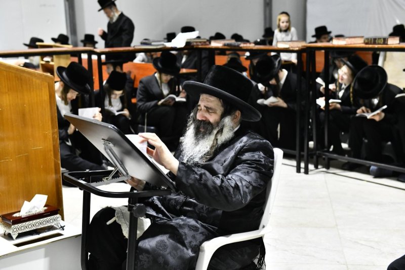 שוקי לרר