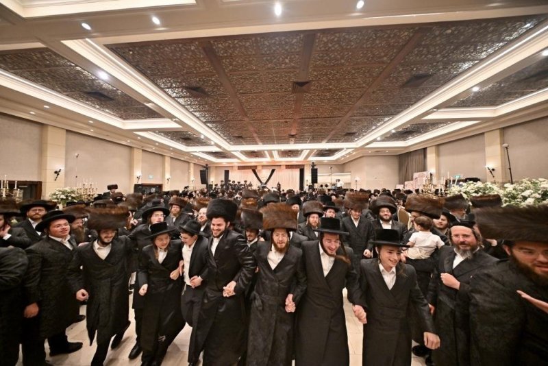 יהושע פרוכטר