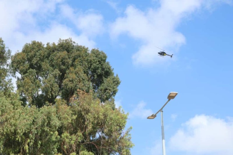 שמוליק קורלנסקי