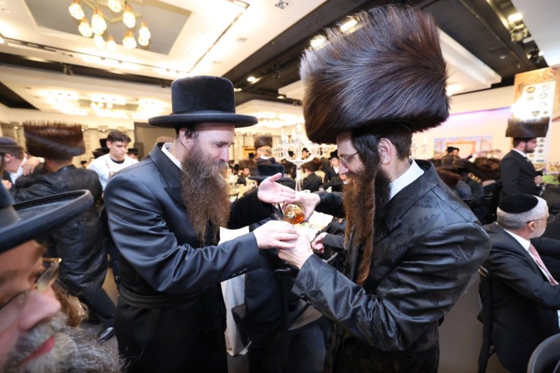 קובי הר צבי