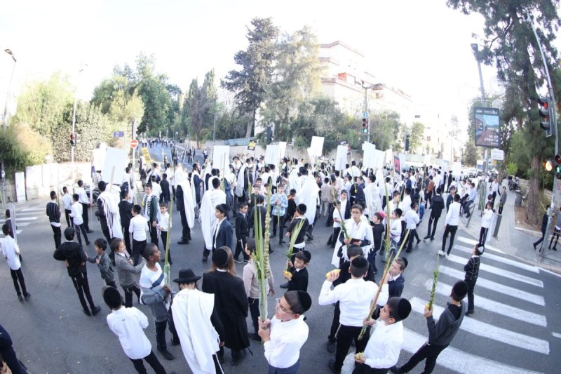 שלומי טריכטר ומ.פ