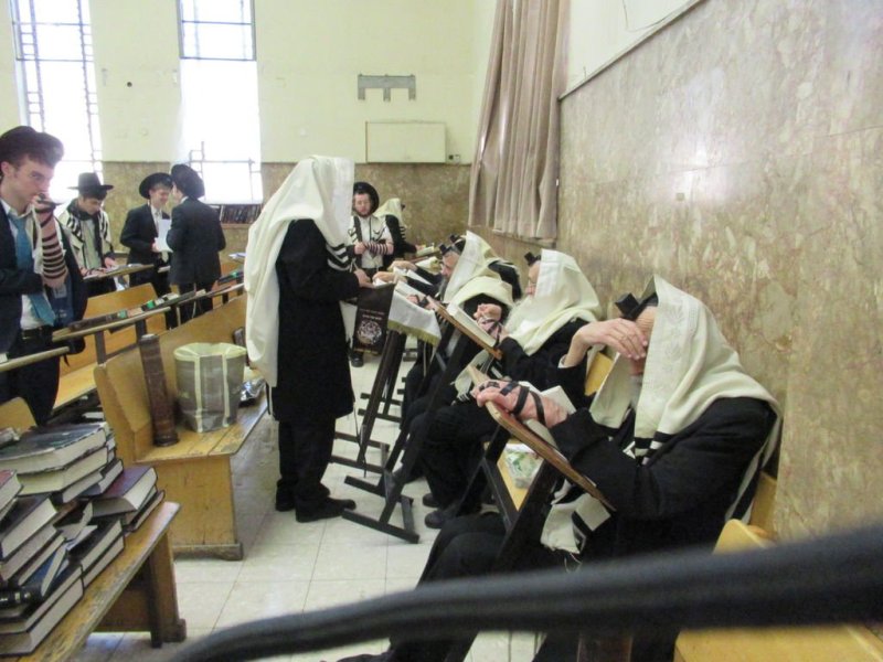 באדיבות המצלם