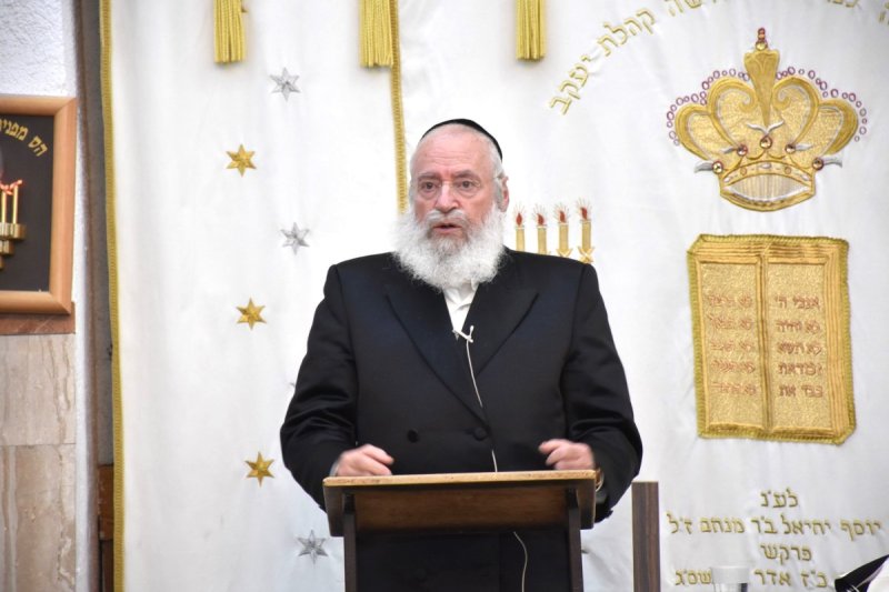 יהודה פרקוביץ