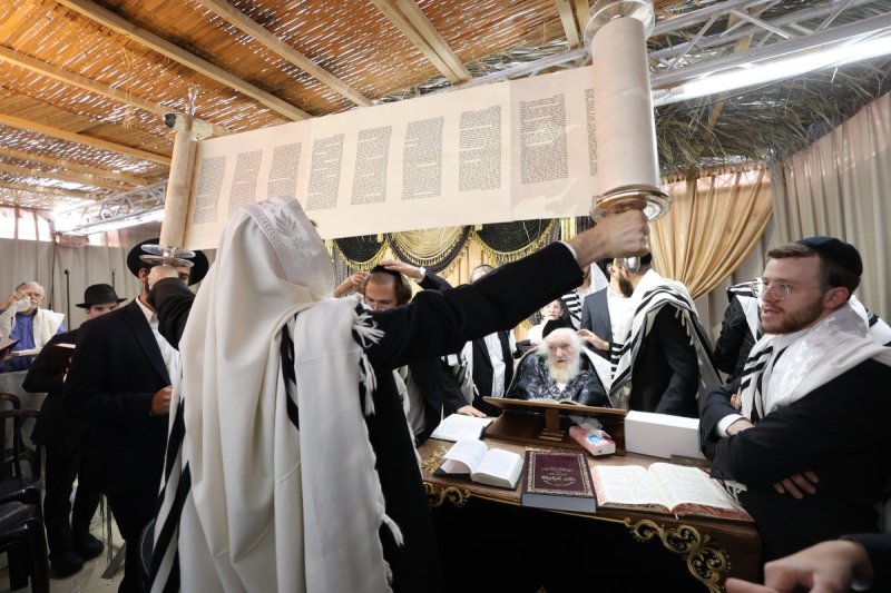 דוד ארזני
