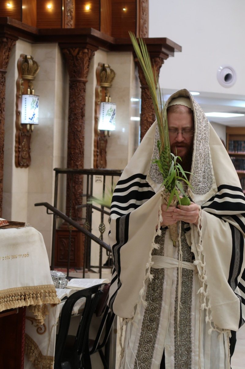 באדיבות המצלם